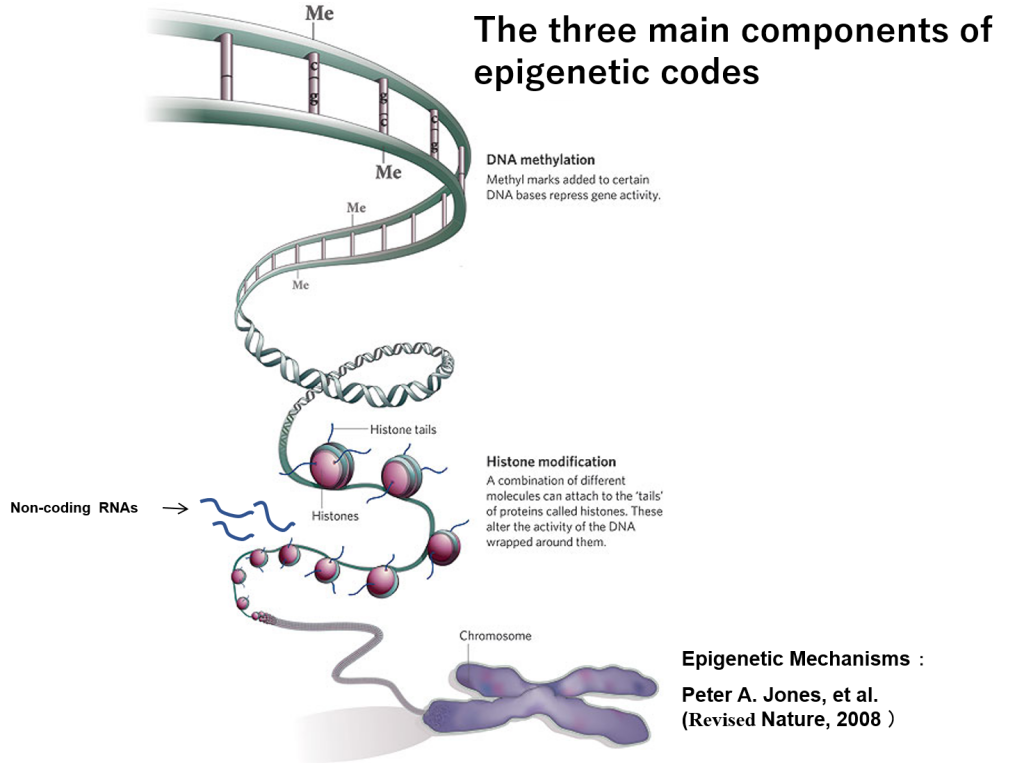 epigenetics